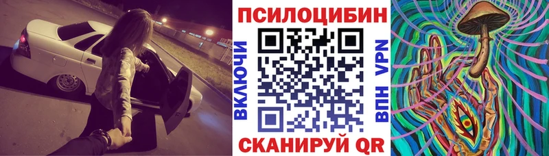 где продают   Красково  Галлюциногенные грибы GOLDEN TEACHER 