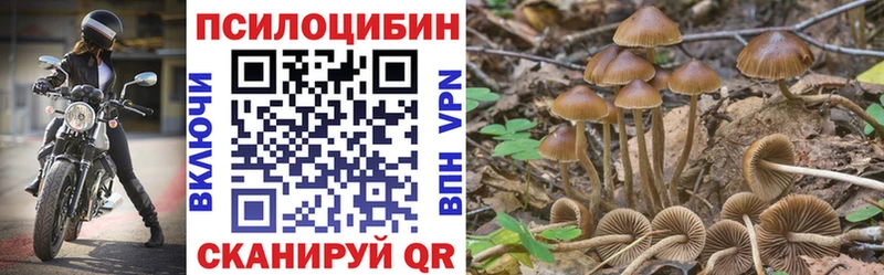 Псилоцибиновые грибы Psilocybine cubensis Красково